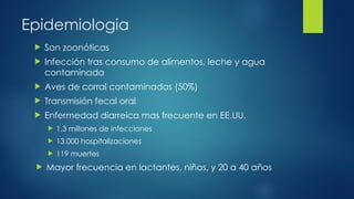 Epidemiologia
 Son zoonóticas
 Infección tras consumo de alimentos, leche y agua
contaminada
 Aves de corral contaminadas (50%)
 Transmisión fecal oral
 Enfermedad diarreica mas frecuente en EE.UU.
 1,3 millones de infecciones
 13.000 hospitalizaciones
 119 muertes
 Mayor frecuencia en lactantes, niños, y 20 a 40 años
 