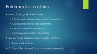 Enfermedades clínicas
 Infecciones gastrointestinales
 Enteritis aguda, diarrea, fiebre y dolor abdominal
 10 o mas deposiciones y sanguinolentas
 Suele ser autolimitada (1 semana)
 Colitis aguda (parecido a apendicitis)
 Síndrome de Guillain-Barre y artritis reactiva
 Son complicaciones
 C. fetus infecciones intravasculares y meningitis
 