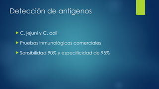 Detección de antígenos
 C. jejuni y C. coli
 Pruebas inmunológicas comerciales
 Sensibilidad 90% y especificidad de 95%
 