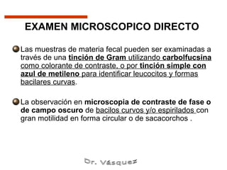 EXAMEN MICROSCOPICO DIRECTO

Las muestras de materia fecal pueden ser examinadas a
través de una tinción de Gram utilizando carbolfucsina
como colorante de contraste, o por tinción simple con
azul de metileno para identificar leucocitos y formas
bacilares curvas.

La observación en microscopia de contraste de fase o
de campo oscuro de bacilos curvos y/o espirilados con
gran motilidad en forma circular o de sacacorchos .
 