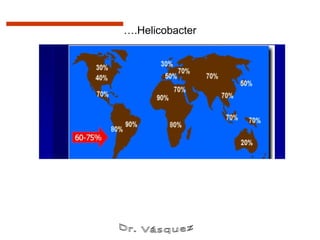 ….Helicobacter
 