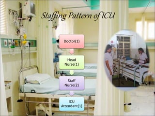 Icu Stapping Pattern camri ppt.ppt