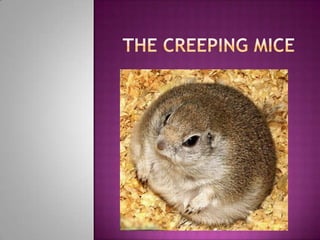 The Creeping Mice  
