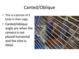 Canted/Oblique
• This is a picture of 2
birds in their cage.

• Canted/oblique
angle are when the
camera is not
placed horizontal
and the shot is
tilted.

 