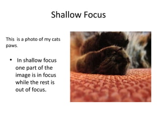 Shallow Focus
This is a photo of my cats
paws.

• In shallow focus
one part of the
image is in focus
while the rest is
out of focus.

 
