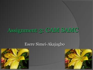 Assignment 3: CAM SAMC
Esere Simei-Akajagbo

 