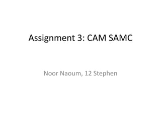 Assignment 3: CAM SAMC

Noor Naoum, 12 Stephen

 