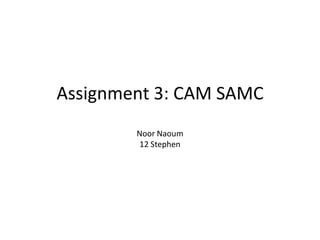 Assignment 3: CAM SAMC
Noor Naoum
12 Stephen
 