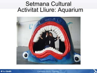 Setmana Cultural Activitat Lliure: Aquarium 