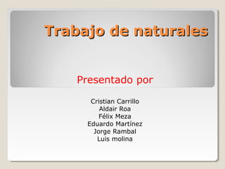 Trabajo de naturalesTrabajo de naturales
Presentado por
Cristian Carrillo
Aldair Roa
Félix Meza
Eduardo Martínez
Jorge Rambal
Luis molina
 
