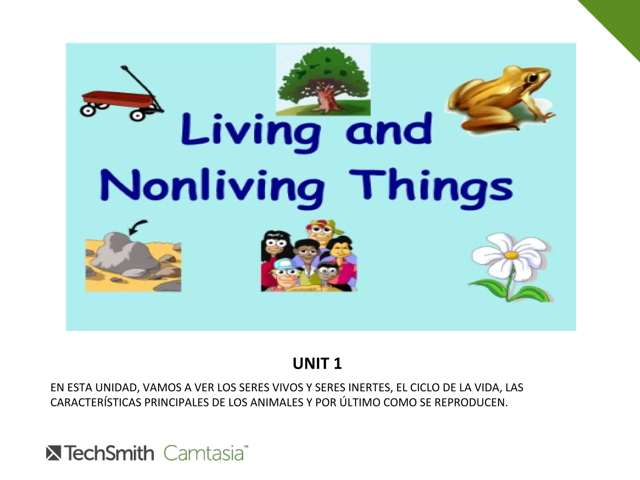UNIT 1
EN ESTA UNIDAD, VAMOS A VER LOS SERES VIVOS Y SERES INERTES, EL CICLO DE LA VIDA, LAS
CARACTERÍSTICAS PRINCIPALES DE LOS ANIMALES Y POR ÚLTIMO COMO SE REPRODUCEN.