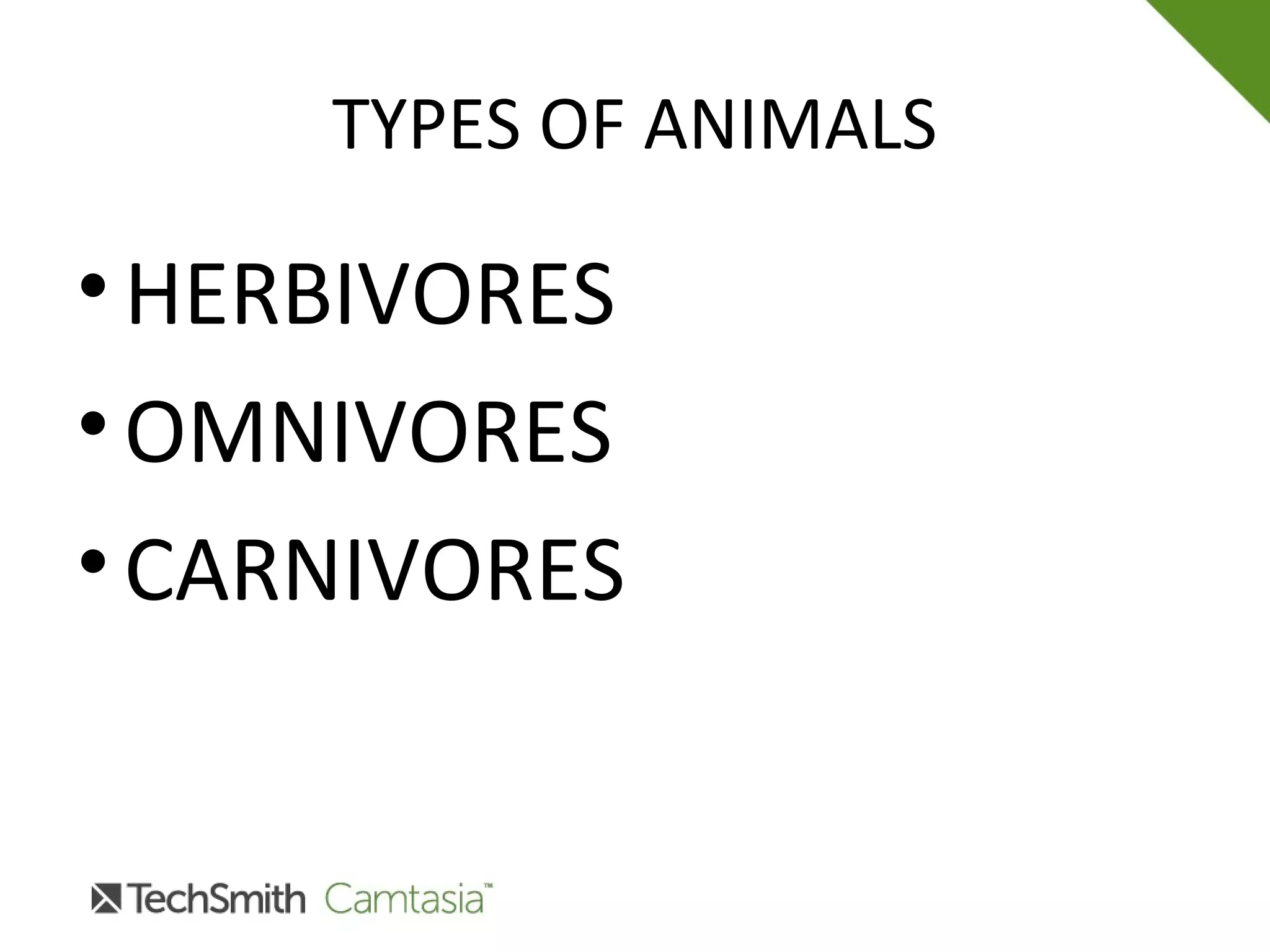 TYPES OF ANIMALS
•HERBIVORES
•OMNIVORES
•CARNIVORES