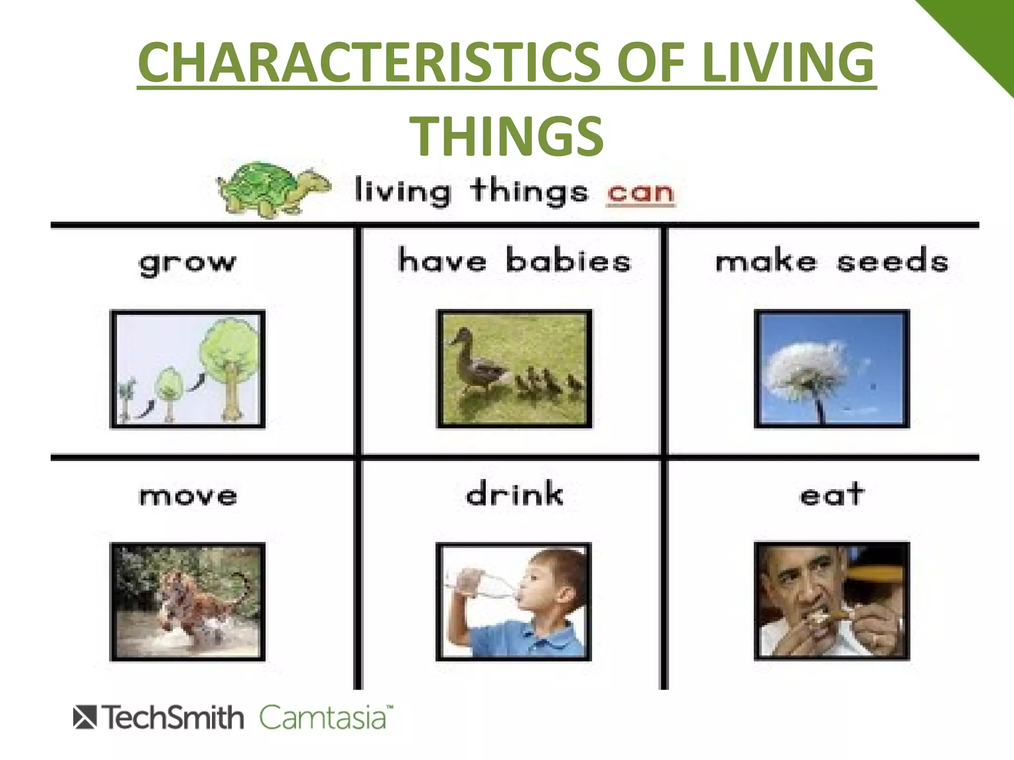 CHARACTERISTICS OF LIVING
THINGS