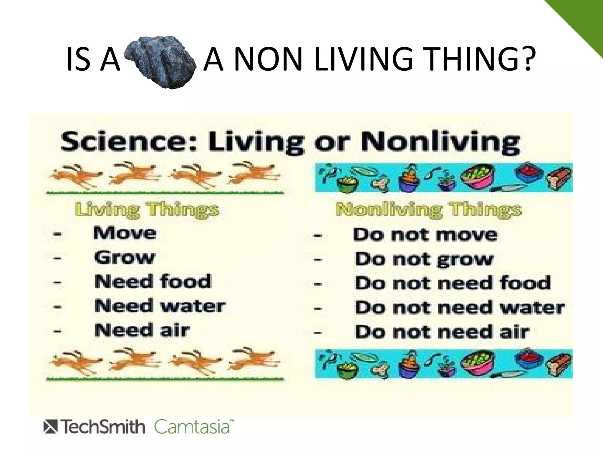 IS A ....... A NON LIVING THING?