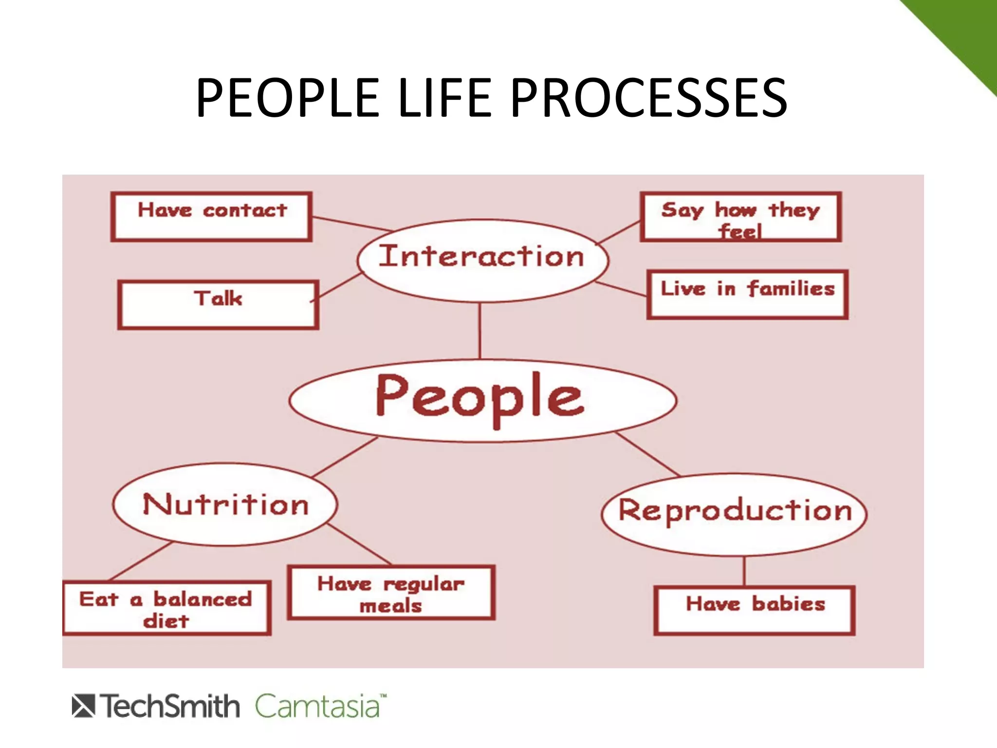 PEOPLE LIFE PROCESSES