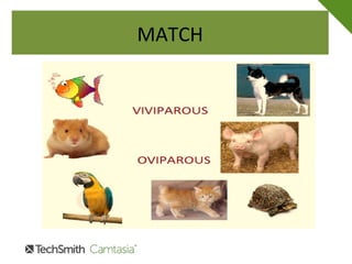 UNIT 1. LIVING THINGS AND NON LIVING THINGS | PPT