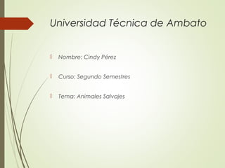 Universidad Técnica de Ambato
 Nombre: Cindy Pérez
 Curso: Segundo Semestres
 Tema: Animales Salvajes
 