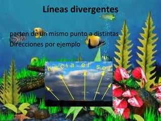 Líneas divergentes parten de un mismo punto a distintas Direcciones por ejemplo 