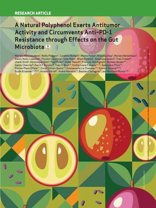 RESEARCH ARTICLE
A Natural Polyphenol Exerts Antitumor
Activity and Circumvents Anti–PD-1
Resistance through Effects on the Gut
Microbiota
Meriem Messaoudene1
, Reilly Pidgeon2
, Corentin Richard1
, Mayra Ponce1
, Khoudia Diop1
, Myriam Benlaifaoui1
,
Alexis Nolin-Lapalme1
, Florent Cauchois1
, Julie Malo1
, Wiam Belkaid1
, Stephane Isnard3
, Yves Fradet4
,
Lharbi Dridi2
, Dominique Velin5
, Paul Oster5
, Didier Raoult6
, François Ghiringhelli7
, Romain Boidot8,9
,
Sandy Chevrier8
, David T. Kysela10
, Yves V. Brun10
, Emilia Liana Falcone11,12
, Geneviève Pilon13
,
Florian Plaza Oñate14
, Oscar Gitton-Quent14
, Emmanuelle Le Chatelier14
, Sylvere Durand15,16
,
Guido Kroemer15,16,17
, Arielle Elkrief1
, André Marette13
, Bastien Castagner2
, and Bertrand Routy1,18
Illustration
by
Bianca
Dunn
Downloaded
from
http://aacrjournals.org/cancerdiscovery/article-pdf/doi/10.1158/2159-8290.CD-21-0808/3048279/cd-21-0808.pdf
by
guest
on
13
September
2022
 
