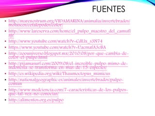 FUENTES
• http://marenostrum.org/VIDAMARINA/animalia/invertebrados/
moluscos/cefalopodos/color/
• http://www.lareserva.com/home/el_pulpo_maestro_del_camufl
aje
• http://www.youtube.com/watch?v=CdLlx_s3N74
• https://www.youtube.com/watch?v=UacmafA3cBA
• http://zoouniverso.blogspot.mx/2010/08/por-que-cambia-de-
color-el-pulpo.html
• http://pijamasurf.com/2009/08/el-increible-pulpo-mimo-de-
indonesia-se-transforma-en-mas-de-15-especies/
• http://es.wikipedia.org/wiki/Thaumoctopus_mimicus
• http://nationalgeographic.es/animales/invertebrados/pulpo-
comun
• http://www.medciencia.com/7-caracteristicas-de-los-pulpos-
que-tal-vez-no-conocias/
• http://alimentos.org.es/pulpo
 
