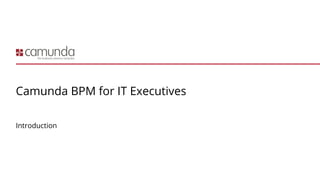 Camunda BPM for IT Executives
Introduction
 