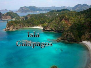 Nombre oficial: República de Ecuador
Idioma oficial: Español
Capital: Quito
Moneda: Dólar estadounidense
Superficie: 256 370 km²
 