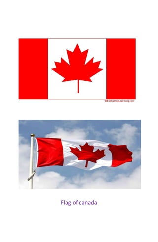 Flag of canada 
