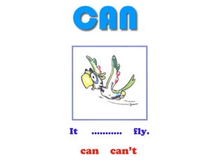 It ........... fly.
can can’t
 
