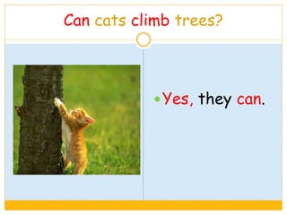 Can cats climb trees?
Yes, they can.
 