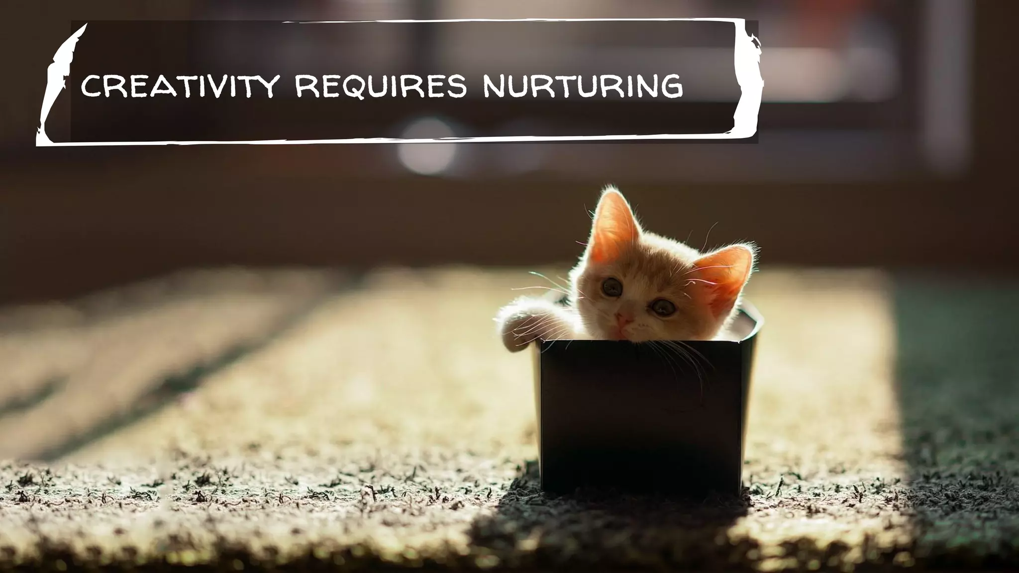creativity requires nurturing
 