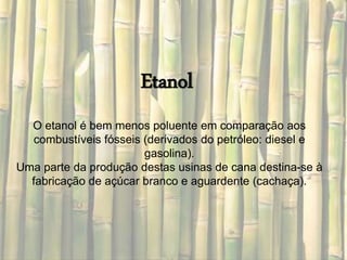 Etanol 
O etanol é bem menos poluente em comparação aos 
combustíveis fósseis (derivados do petróleo: diesel e 
gasolina). 
Uma parte da produção destas usinas de cana destina-se à 
fabricação de açúcar branco e aguardente (cachaça). 
 