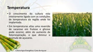 Temperatura 
• O crescimento da cultura esta 
inteiramente ligada com as condições 
de temperatura da região onde foi 
implantada. 
• Em temperaturas altas uma reversão 
de sacarose em frutose e glicose 
pode ocorrer, além do aumento da 
fotorrespiração, o que diminui o 
acúmulo de açucares. 
 