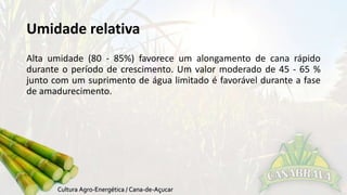 Umidade relativa 
Alta umidade (80 - 85%) favorece um alongamento de cana rápido 
durante o período de crescimento. Um valor moderado de 45 - 65 % 
junto com um suprimento de água limitado é favorável durante a fase 
de amadurecimento. 
 