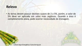 Relevo 
• As terras devem possuir declives suaves de 2 a 5%, porém, o valor de 
5% deve ser aplicado em solos mais argilosos. Quando a área é 
completamente plana, pode ocorrer necessidade de drenagem. 
 