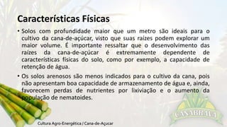 Características Físicas 
• Solos com profundidade maior que um metro são ideais para o 
cultivo da cana-de-açúcar, visto que suas raízes podem explorar um 
maior volume. É importante ressaltar que o desenvolvimento das 
raízes da cana-de-açúcar é extremamente dependente de 
características físicas do solo, como por exemplo, a capacidade de 
retenção de água. 
• Os solos arenosos são menos indicados para o cultivo da cana, pois 
não apresentam boa capacidade de armazenamento de água e, ainda, 
favorecem perdas de nutrientes por lixiviação e o aumento da 
população de nematoides. 
 