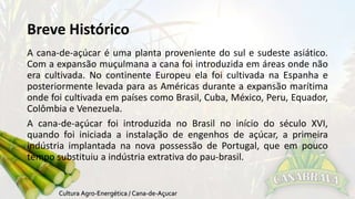 Breve Histórico 
A cana-de-açúcar é uma planta proveniente do sul e sudeste asiático. 
Com a expansão muçulmana a cana foi introduzida em áreas onde não 
era cultivada. No continente Europeu ela foi cultivada na Espanha e 
posteriormente levada para as Américas durante a expansão marítima 
onde foi cultivada em países como Brasil, Cuba, México, Peru, Equador, 
Colômbia e Venezuela. 
A cana-de-açúcar foi introduzida no Brasil no início do século XVI, 
quando foi iniciada a instalação de engenhos de açúcar, a primeira 
indústria implantada na nova possessão de Portugal, que em pouco 
tempo substituiu a indústria extrativa do pau-brasil. 
 