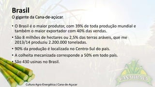 Brasil 
O gigante da Cana-de-açúcar. 
• O Brasil é o maior produtor, com 39% de toda produção mundial e 
também o maior exportador com 40% das vendas. 
• São 8 milhões de hectares ou 2,5% das terras aráveis, que me 
2013/14 produziu 2.200.000 toneladas. 
• 90% da produção é localizada no Centro-Sul do país. 
• A colheita mecanizada corresponde a 50% em todo país. 
• São 430 usinas no Brasil. 
 