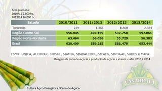Moagem de cana-de-açúcar e produção de açúcar e etanol - safra 2010 à 2014 
Área plantada: 
2010/11 2.800 hc. 
2013/14 26.000 hc. 
 