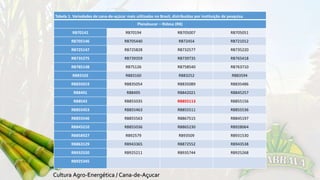 Tabela 1. Variedades de cana-de-açúcar mais utilizadas no Brasil, distribuídas por instituição de pesquisa. 
Planalsucar – Ridesa (RB) 
RB70141 RB70194 RB705007 RB705051 
RB705146 RB705440 RB72454 RB721012 
RB725147 RB725828 RB732577 RB735220 
RB735275 RB739359 RB739735 RB765418 
RB785148 RB75126 RB758540 RB763710 
RB83102 RB83160 RB83252 RB83594 
RB835019 RB835054 RB835089 RB835486 
RB8491 RB8495 RB842021 RB845257 
RB8543 RB855035 RB855113 RB855156 
RB855453 RB855463 RB855511 RB855536 
RB855546 RB855563 RB867515 RB845197 
RB845210 RB855036 RB865230 RB928064 
RB858927 RB92579 RB93509 RB931530 
RB863129 RB943365 RB872552 RB943538 
RB932520 RB925211 RB935744 RB925268 
RB925345 
 