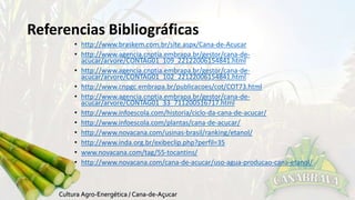 Referencias Bibliográficas 
• http://www.braskem.com.br/site.aspx/Cana-de-Acucar 
• http://www.agencia.cnptia.embrapa.br/gestor/cana-de-acucar/ 
arvore/CONTAG01_109_22122006154841.html 
• http://www.agencia.cnptia.embrapa.br/gestor/cana-de-acucar/ 
arvore/CONTAG01_102_22122006154841.html 
• http://www.cnpgc.embrapa.br/publicacoes/cot/COT73.html 
• http://www.agencia.cnptia.embrapa.br/gestor/cana-de-acucar/ 
arvore/CONTAG01_33_711200516717.html 
• http://www.infoescola.com/historia/ciclo-da-cana-de-acucar/ 
• http://www.infoescola.com/plantas/cana-de-acucar/ 
• http://www.novacana.com/usinas-brasil/ranking/etanol/ 
• http://www.inda.org.br/exibeclip.php?perfil=35 
• www.novacana.com/tag/55-tocantins/ 
• http://www.novacana.com/cana-de-acucar/uso-agua-producao-cana-etanol/ 
