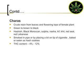 Contd…. Charas Crude   resin   from leaves and flowering tops of female plant Green to brown to black Hashish, Black Moroccan, sulpha, nasha, kif, khit, red seal, red Lebanese Smoked in pipe or by placing a bit on tip of cigarette , baked or eaten as hash cookies THC content – 4% - 12% 
