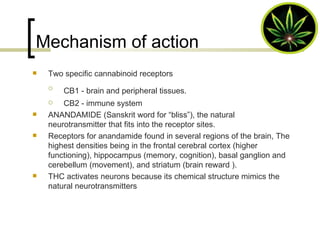 Mechanism of action Two specific cannabinoid receptors CB1 - brain and peripheral tissues.   CB2 - immune system ANANDAMIDE (Sanskrit word for “bliss”), the natural neurotransmitter that fits into the receptor sites. Receptors for anandamide found in several regions of the brain, The highest densities being in the frontal cerebral cortex (higher functioning), hippocampus (memory, cognition), basal ganglion and cerebellum (movement), and striatum (brain reward ). THC activates neurons because its chemical structure mimics the natural neurotransmitters 