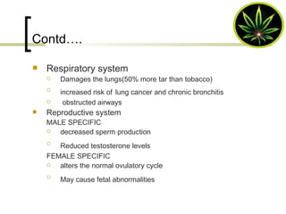 Contd…. Respiratory system Damages the lungs(50% more tar than tobacco) increased risk of   lung cancer and chronic bronchitis obstructed airways Reproductive system MALE SPECIFIC decreased sperm production Reduced testosterone levels   FEMALE SPECIFIC alters the normal ovulatory cycle May cause fetal abnormalities   