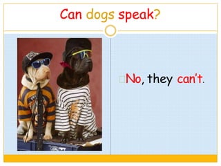 Can dogs speak?
No, they can’t.