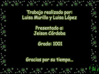 Trabajo realizado por:Luisa Murillo y Luisa LópezPresentado a:Jeison Córdoba Grado: 1001Gracias por su tiempo…