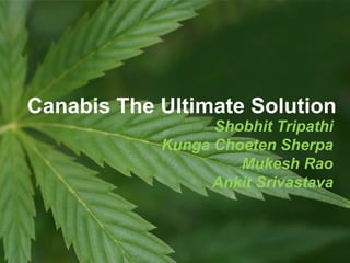 Shobhit Tripathi
Kunga Choeten Sherpa
Mukesh Rao
Ankit Srivastava
Canabis The Ultimate Solution
 