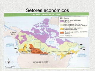 Setores econômicos 