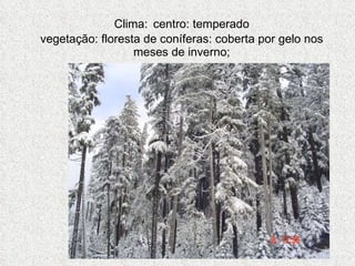 Clima:   centro: temperado vegetação: floresta de coníferas: coberta por gelo nos meses de inverno; 