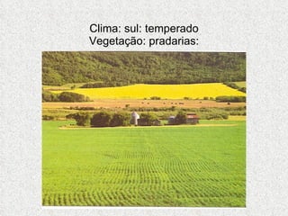 Clima: sul: temperado Vegetação: pradarias: 
