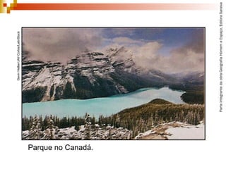 ParteintegrantedaobraGeografiaHomemeEspaço,EditoraSaraiva
Parque no Canadá.
GavinHellier/JAI/Corbis/LatinStock
 